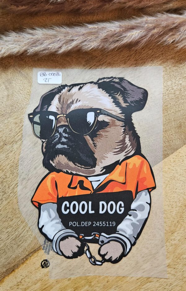 Cool Hund