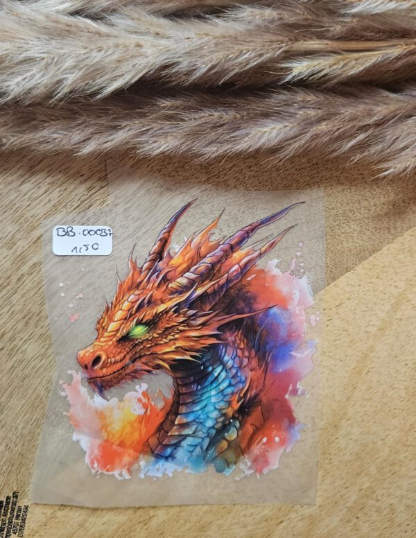Drache 8