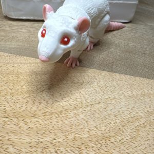 3D Druck Ratte