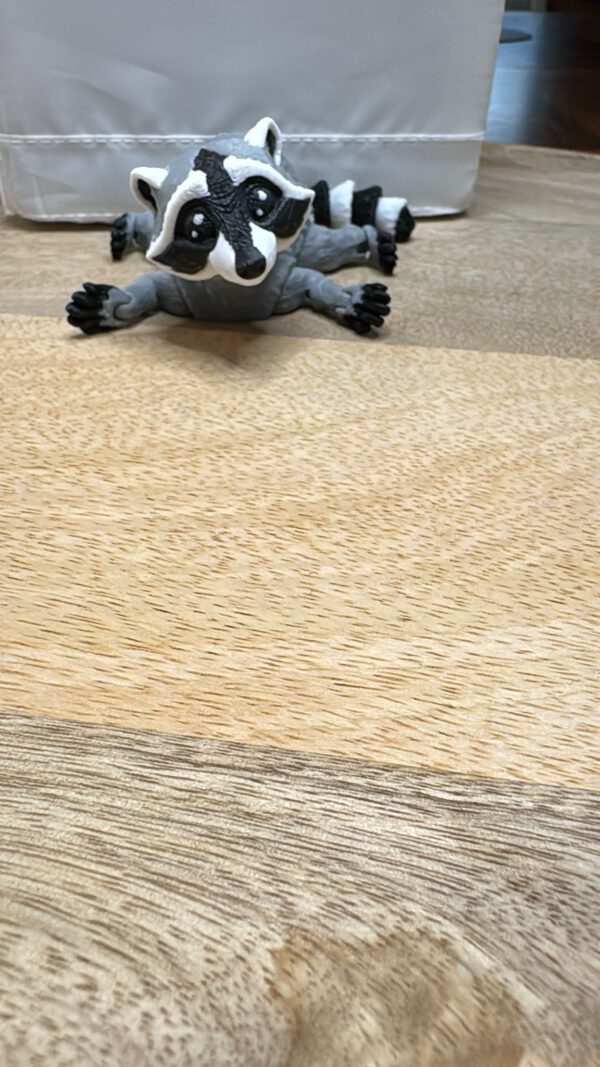 3D Druck Waschbär