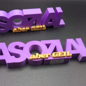 3D Druck Spruch ASOZIAL