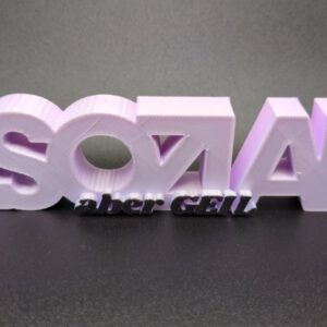 3D Druck Spruch ASOZIAL