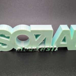 3D Druck Spruch ASOZIAL
